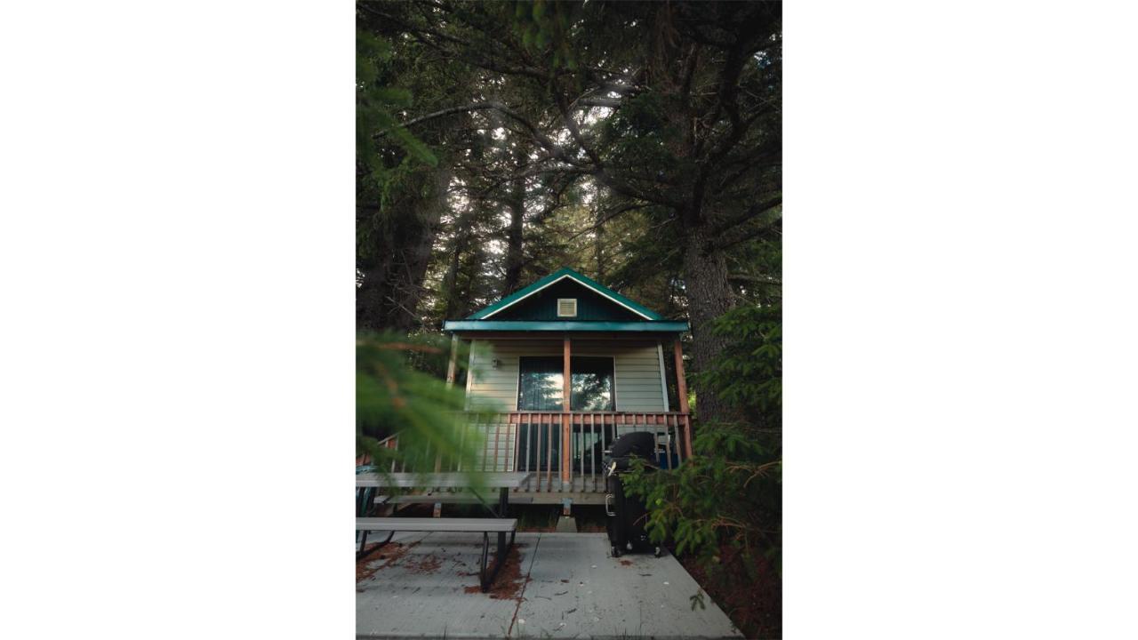 Cabin 2 Lynn View Lodge Haines Esterno foto